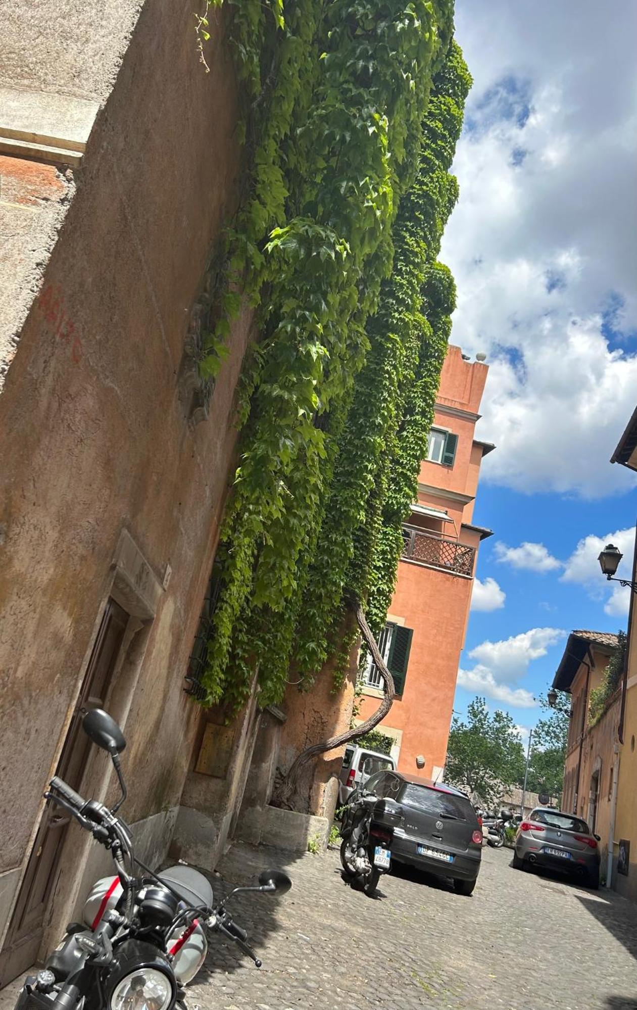 Garden House Trastevere 罗马 外观 照片