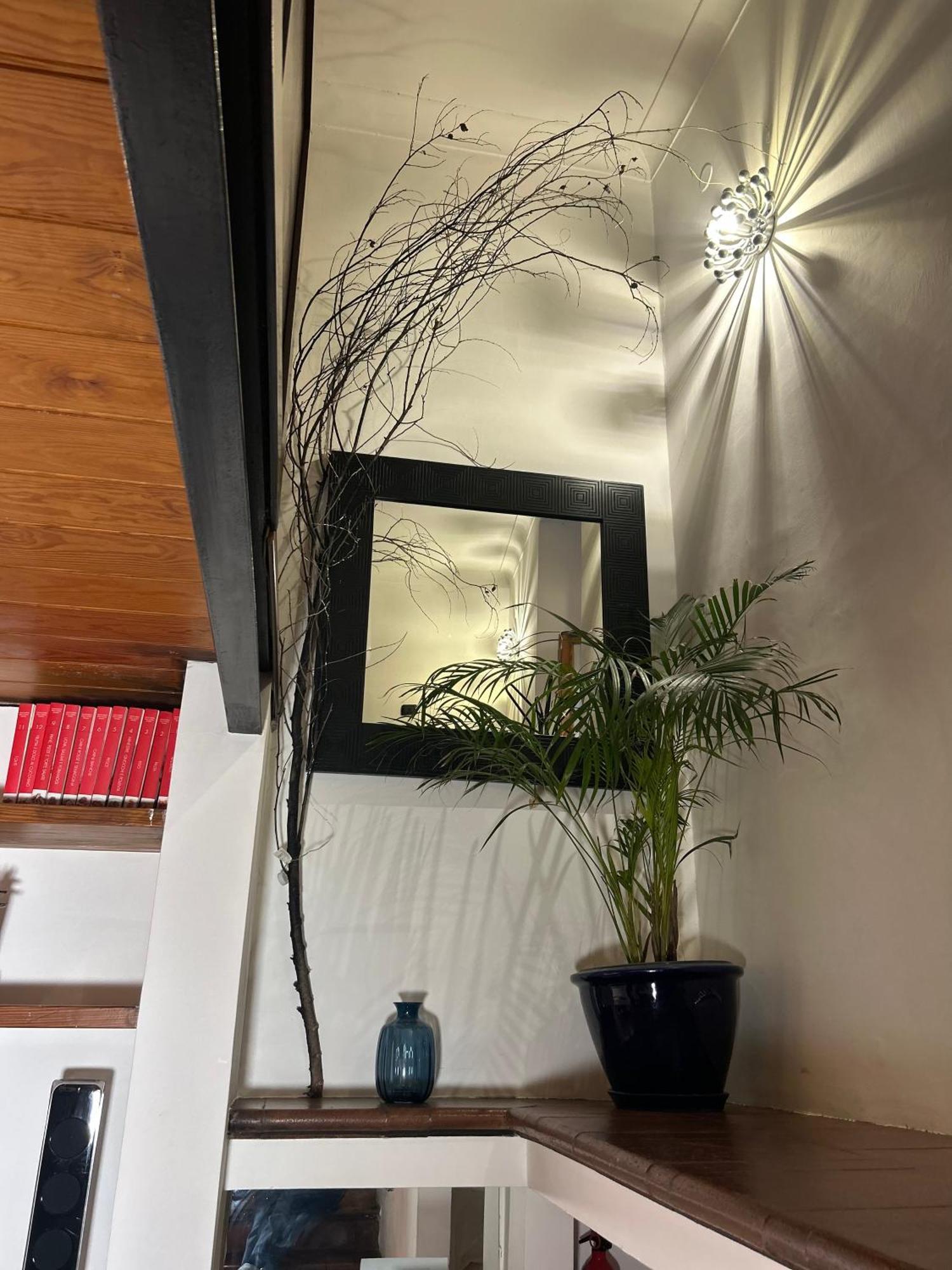 Garden House Trastevere 罗马 外观 照片