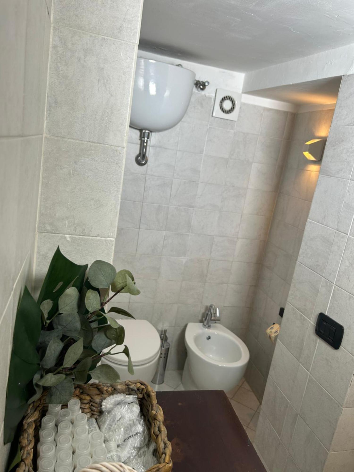 Garden House Trastevere 罗马 外观 照片